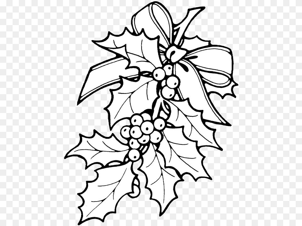 Freeuse Stock Holly At Getdrawings Com For Christmas Holly Coloring Pages, Leaf, Plant, Art, Drawing Free Png Download