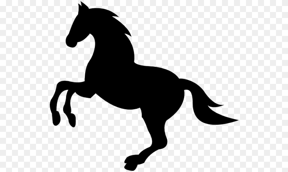 Freeuse Stock Vector Horse Horse Icon, Gray Free Transparent Png