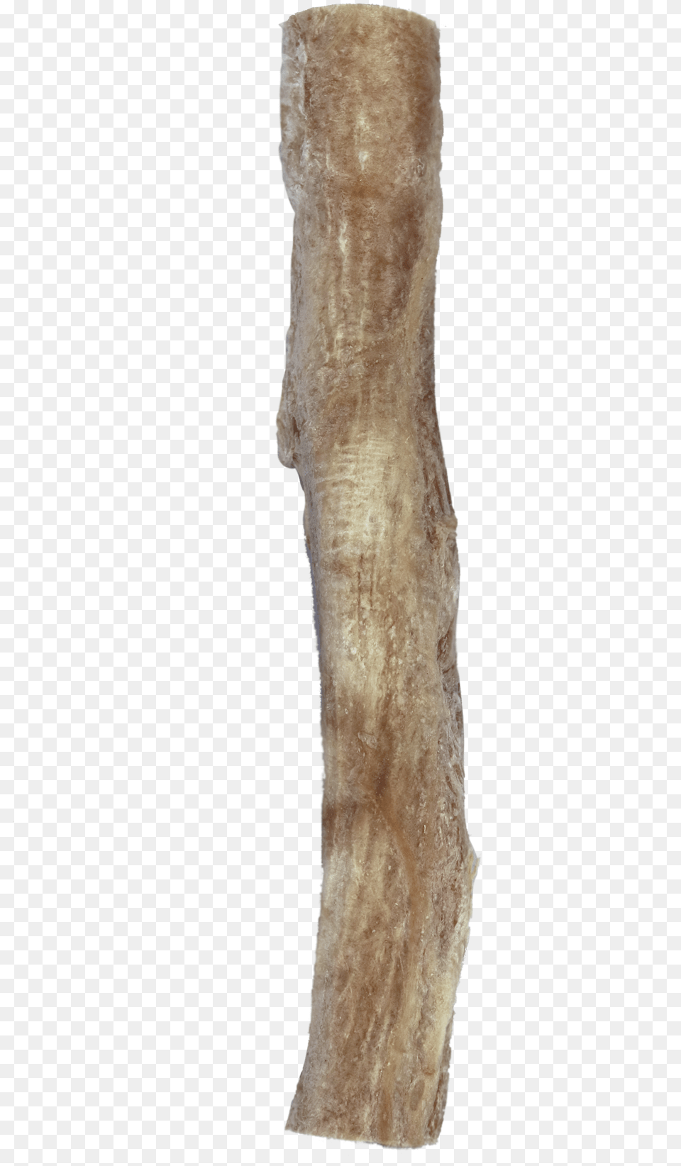 Freeze Dried Bully Sticks Driftwood, Plant, Tree, Tree Trunk, Wood Png Image