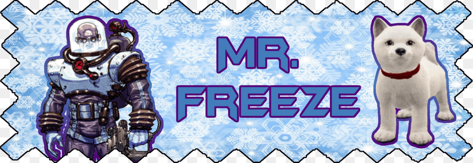 Freeze Is A 2nd Gen 83 Male Shiba Inu Batman Arkham City Mr Freeze, Animal, Canine, Dog, Mammal Free Png Download