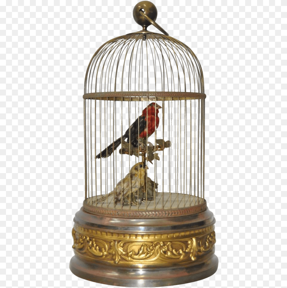 French Antique Mechanical Bird Cage With Singing Birds Cage, Animal, Finch Free Transparent Png