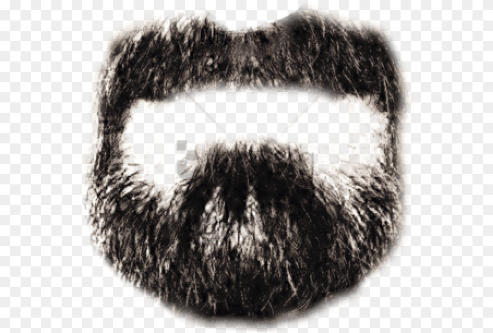 French Beard, Face, Head, Person, Mustache Free Transparent Png