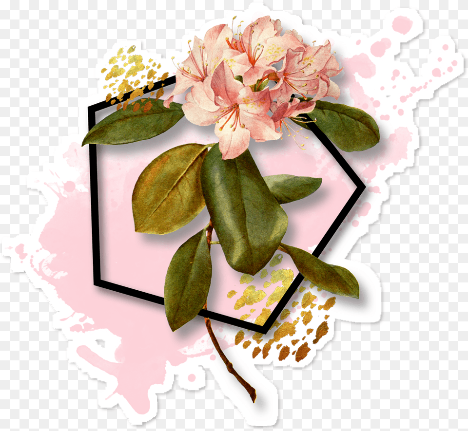 French Botanical Pink Flower Queen Duvet, Art, Plant, Graphics, Flower Bouquet Free Transparent Png