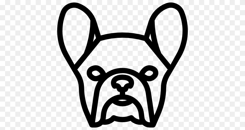 French Bulldog, Animal, Canine, Dog, Pet Png