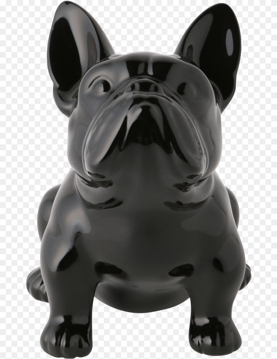 French Bulldog, Animal, Canine, Dog, French Bulldog Png