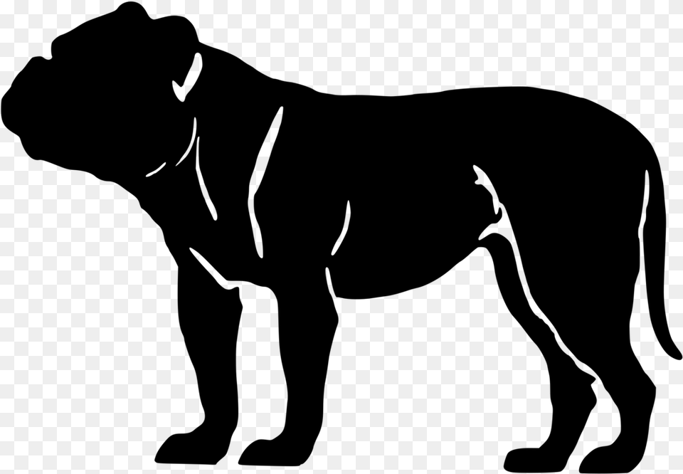 French Bulldog American Bully Pit Bull American Bulldog Old English Bulldog Silhouette, Gray Png