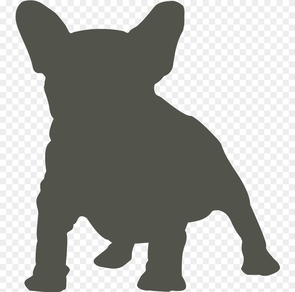 French Bulldog American Pit Bull Terrier Pug French Bulldog Silhouette, Person, Animal, Pet, Cat Free Png