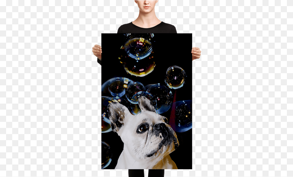 French Bulldog Art Print On Canvas Slime Purple, Person, Animal, Canine, Mammal Free Transparent Png