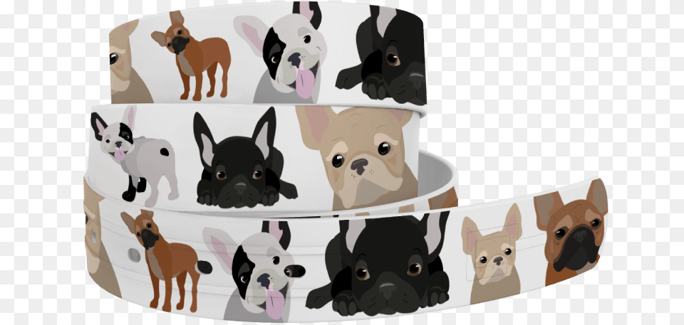 French Bulldog Belt By C4 Mat, Animal, Pig, Mammal, Canine Png Image