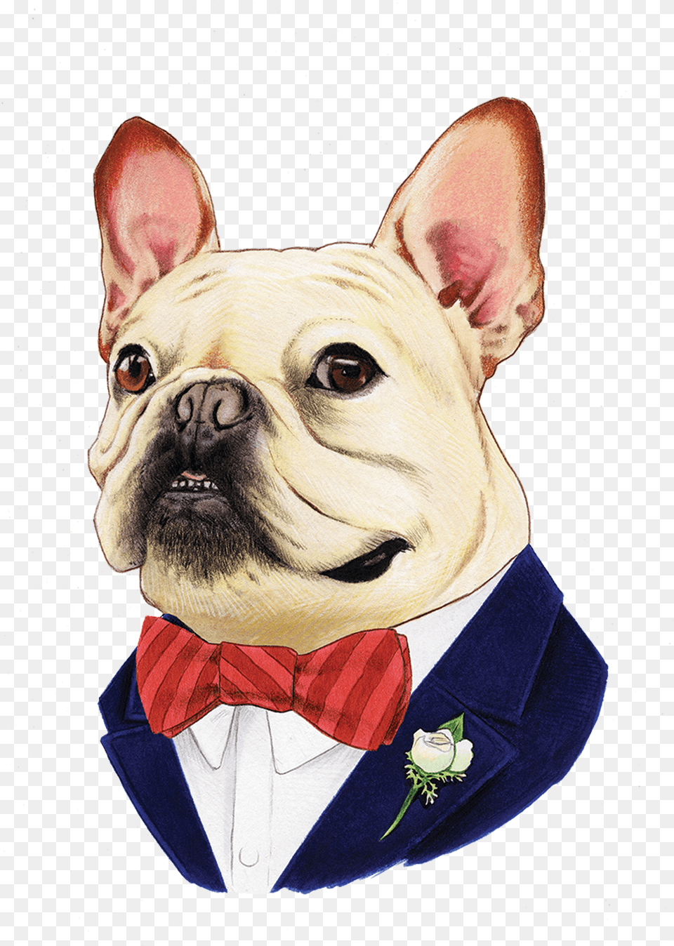 French Bulldog Berkley Illustration, Bowl, Silver Free Transparent Png
