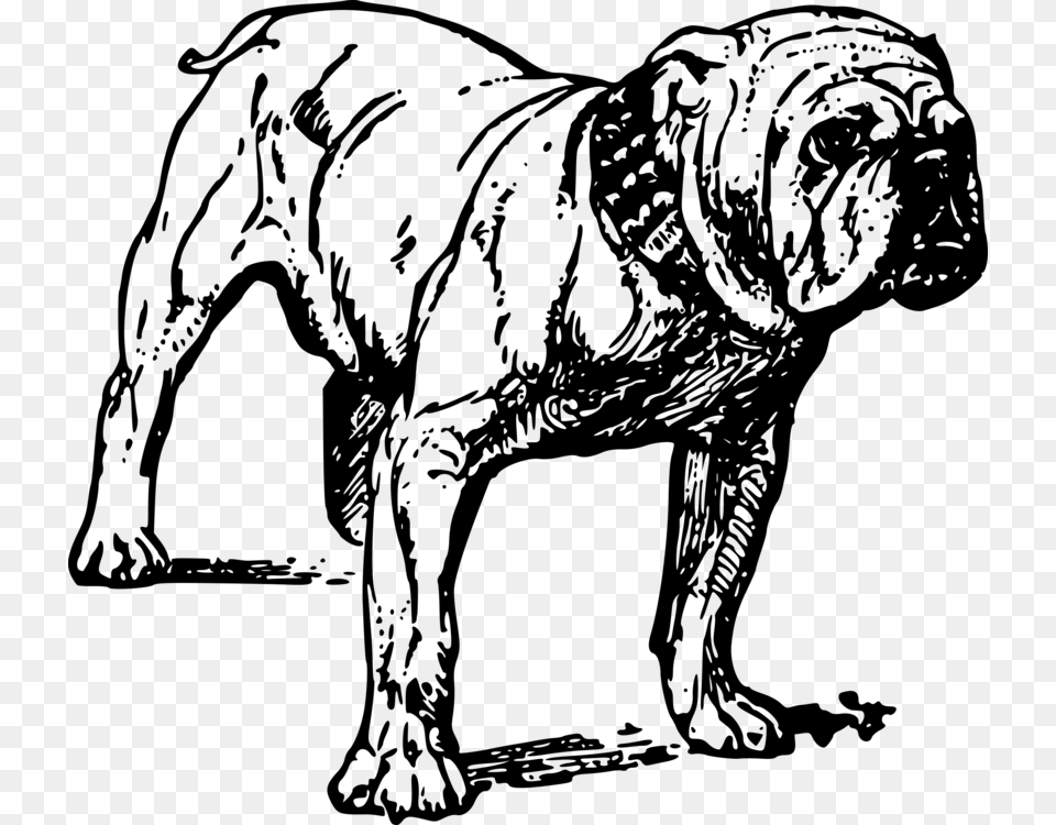 French Bulldog Bull Terrier Pit Bull Drawing Realistic Black And White Dog Clip Art, Gray Free Png Download