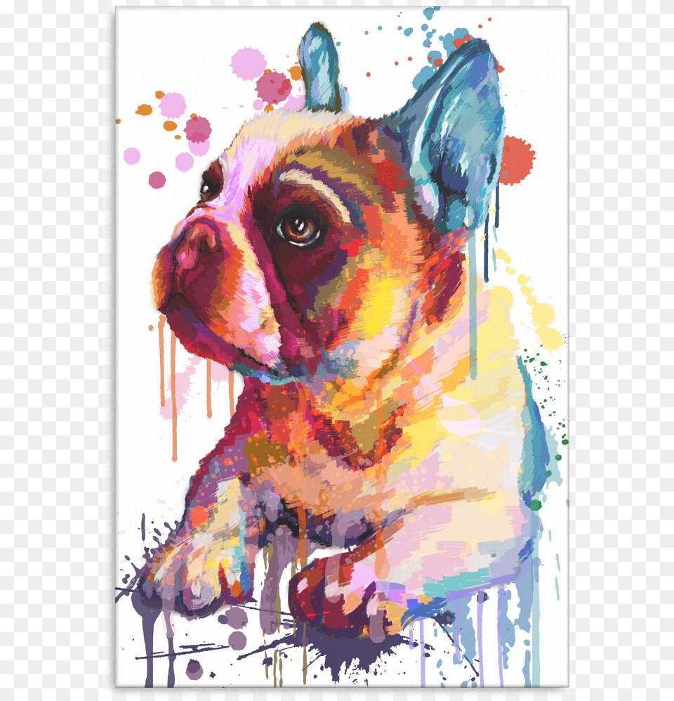French Bulldog Canvas Wrap 2402hv Gallery Wrap, Animal, Mammal, French Bulldog, Pet Free Png Download