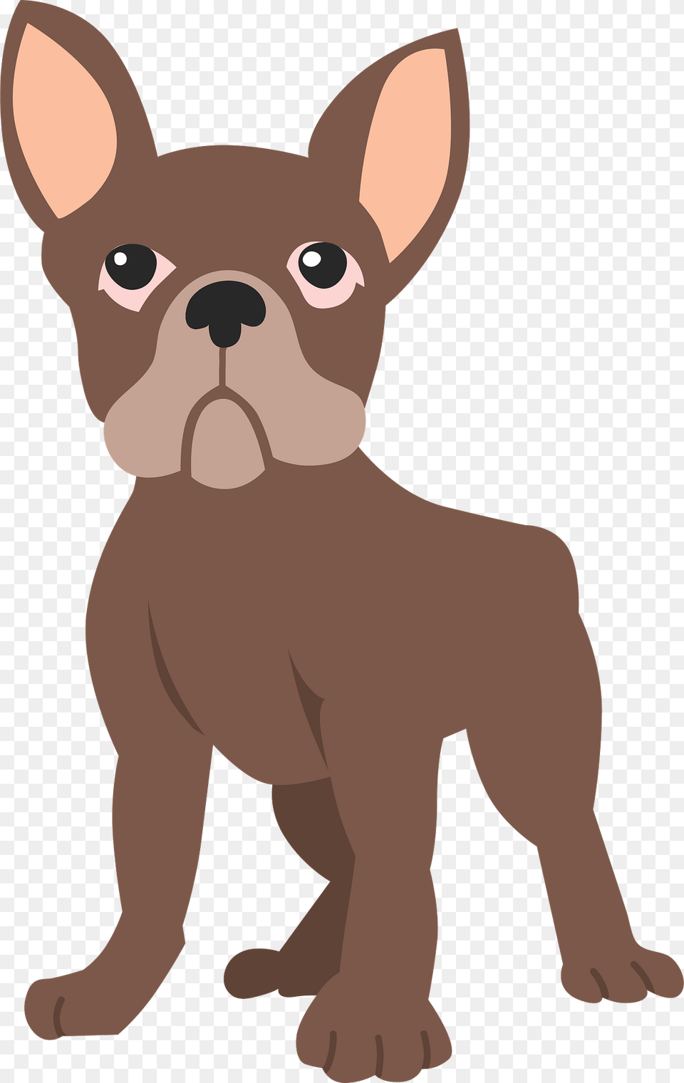 French Bulldog Clipart, Animal, Bear, Canine, Dog Png Image