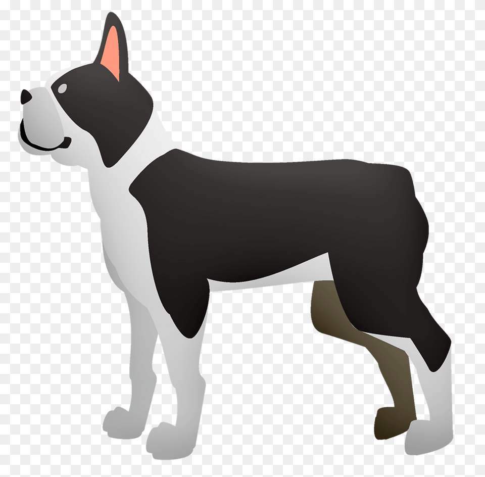 French Bulldog Clipart, Animal, Boston Bull, Canine, Dog Free Png