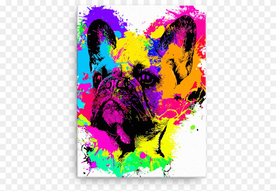 French Bulldog Colorful Splash Paint Canvas Painting, Purple, Art, Modern Art, Graphics Png