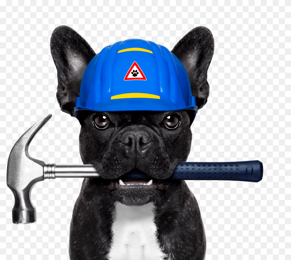 French Bulldog Dog Daze Industrial Plumbing Stock Photography Dog With Paint Brush, Art, Electronics, Hardware, Baby Free Png Download