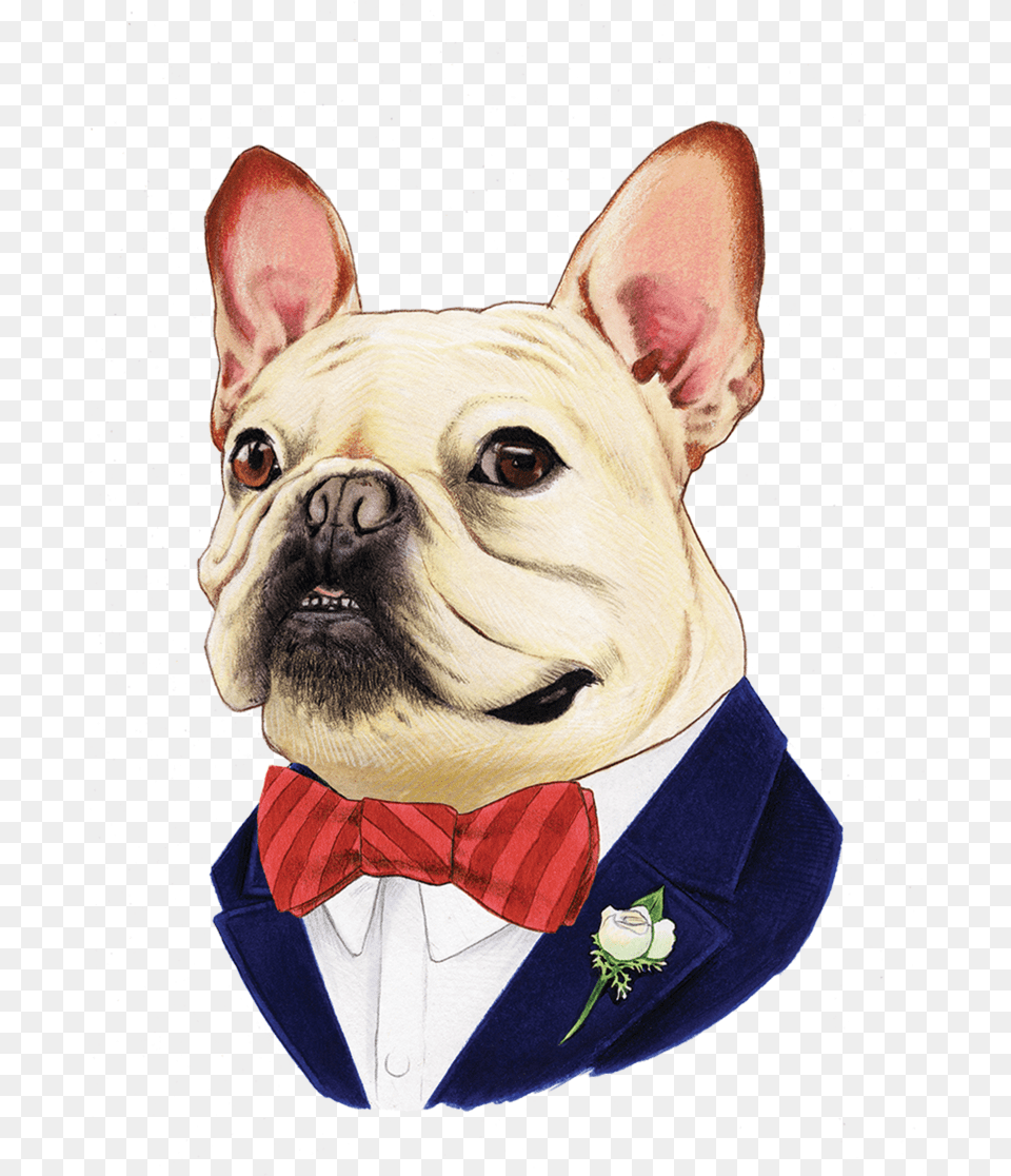 French Bulldog French Bulldog Print Illustration, Animal, Canine, Dog, Pet Free Png