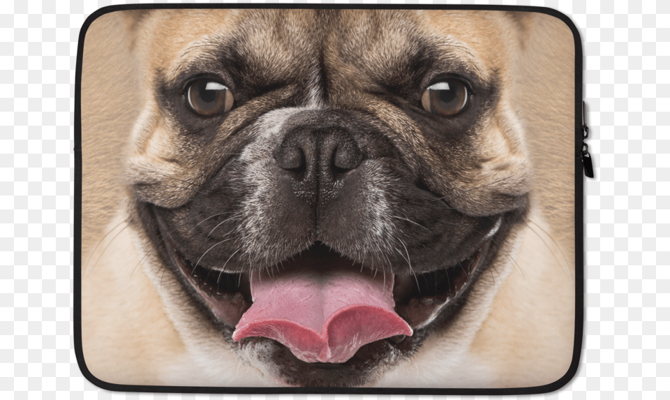 French Bulldog Laptop Sleeve Mat, Animal, Canine, Dog, Mammal Free Png