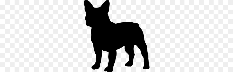 French Bulldog Puppies For Sale, Silhouette, Animal, Coyote, Mammal Png Image