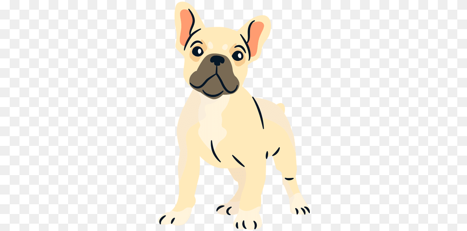 French Bulldog Puppy French Bulldog Logo, Animal, Pet, Mammal, French Bulldog Free Png