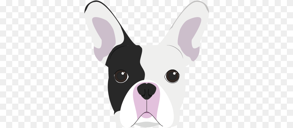 French Bulldog Puppy Vector Graphics Clip Art French Bulldog Face Vector, Animal, Canine, Dog, Mammal Png