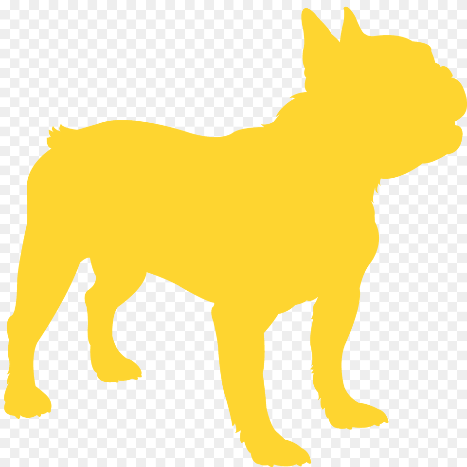 French Bulldog Silhouette, Animal, Canine, Dog, French Bulldog Png Image