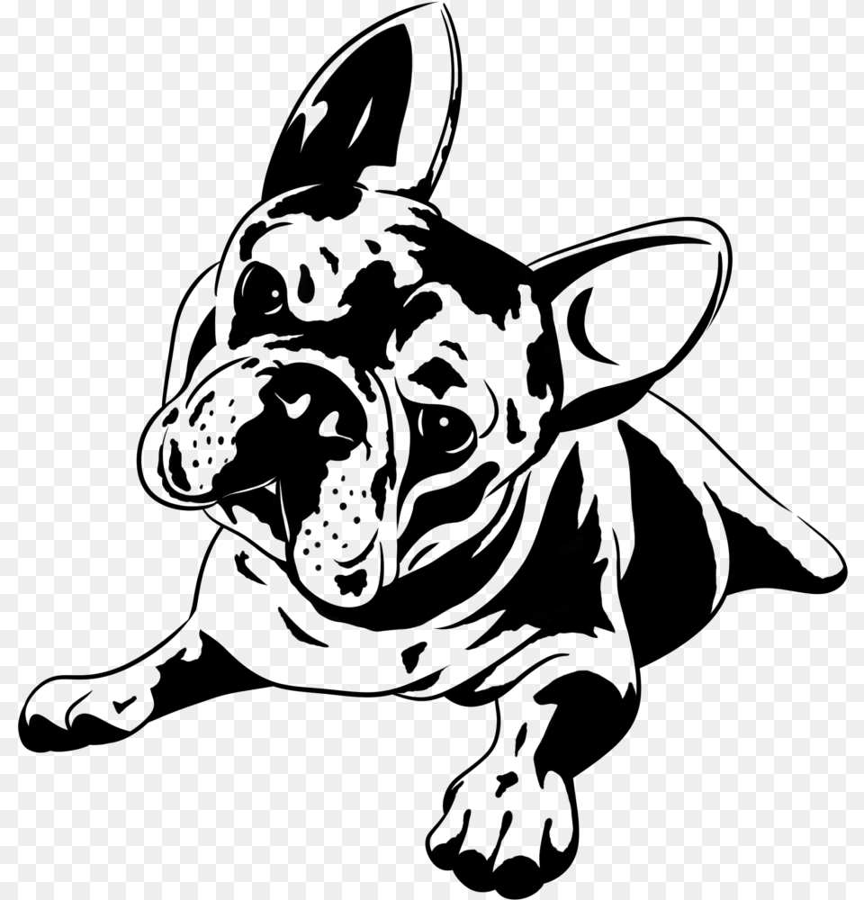 French Bulldog Sketch, Gray Png Image