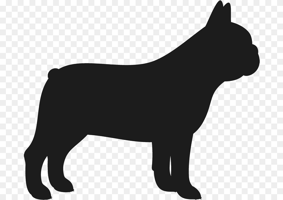 French Bulldog Stamp French Bulldogs French Bulldog Silhouette, Animal, Canine, Dog, Mammal Png Image