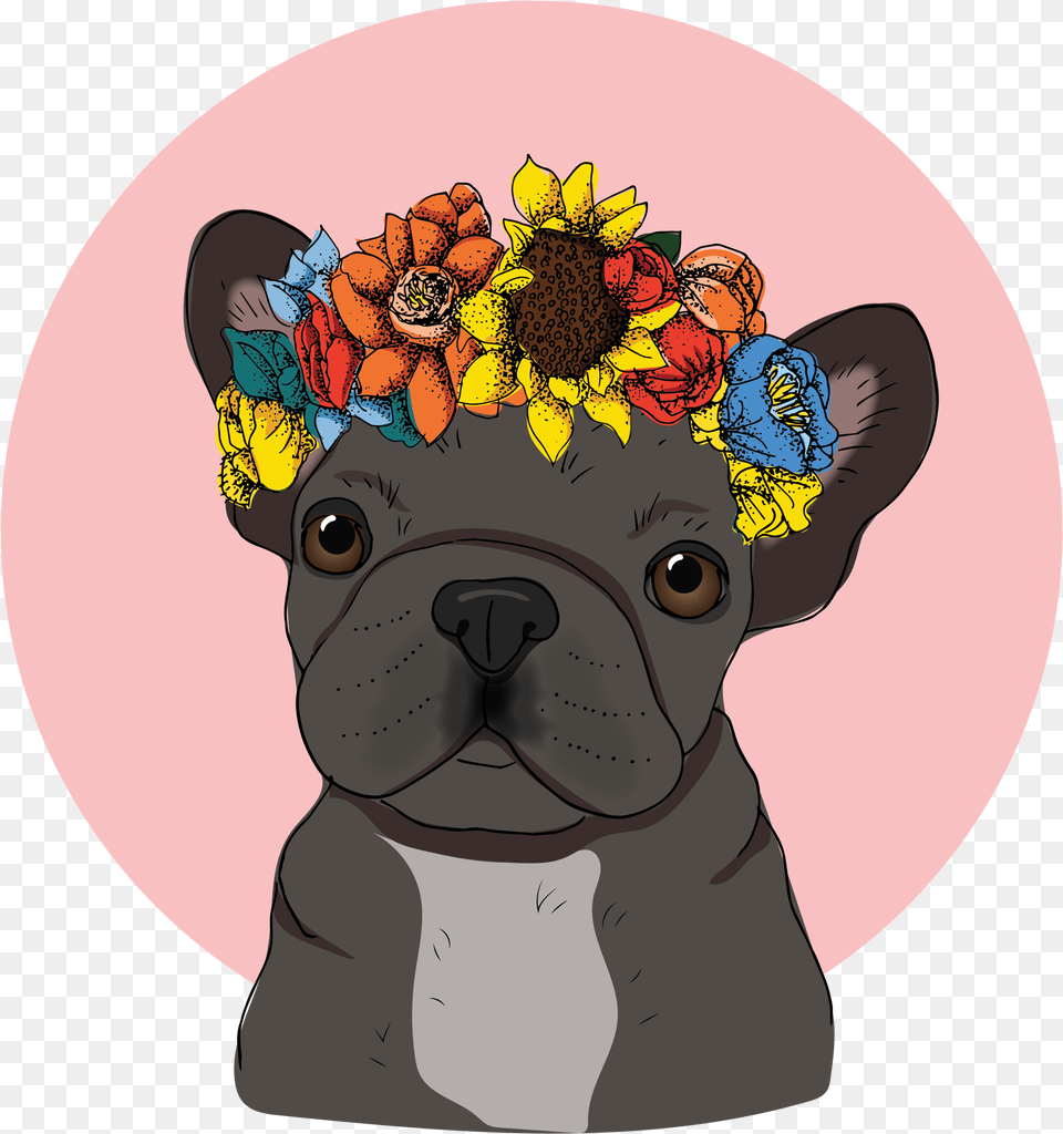 French Bulldog With Floral Crown Pug Full Size French Bulldog Wallpaper Cute, Animal, Mammal, Canine, Dog Png Image