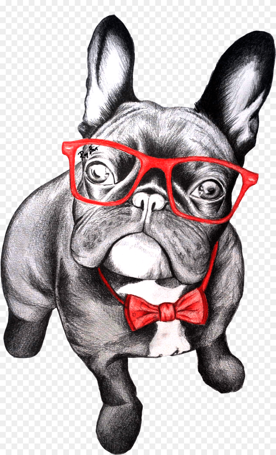 French Bulldog With Glasses Painting, Pet, Mammal, French Bulldog, Dog Free Png Download