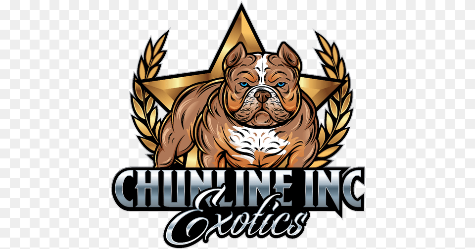 French Bulldogs Exotic American Bullies American Bully Cartoon Logo, Animal, Canine, Mammal, Bulldog Png Image