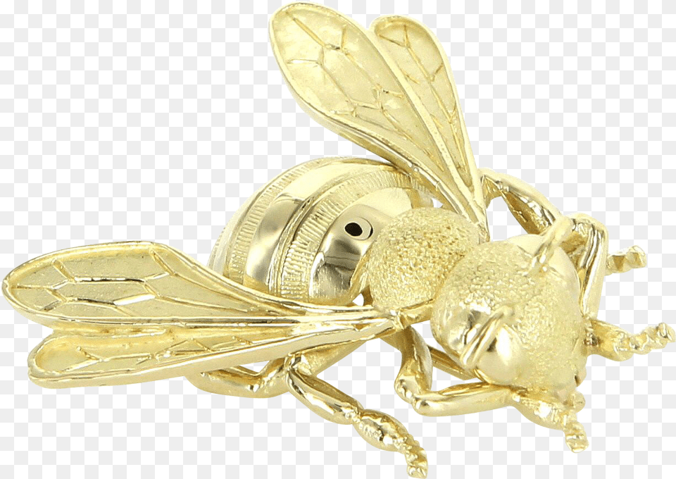 French Hallmarked Vintage Bumble Bee Insect Brooch Membrane Winged Insect, Animal, Invertebrate, Wasp, Accessories Free Png