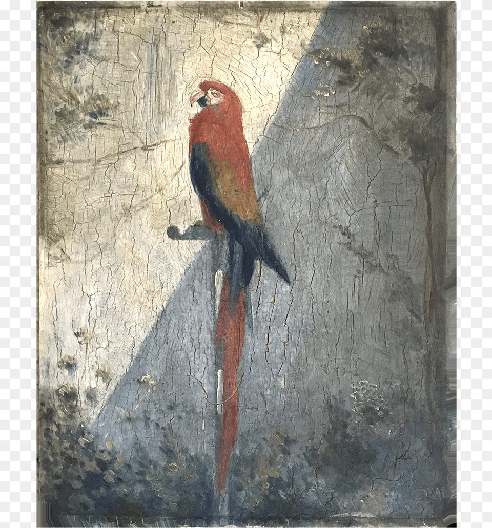 French School Impressionist Painting Of Quot The Parrotquot Painting, Art, Animal, Bird, Parrot Free Png