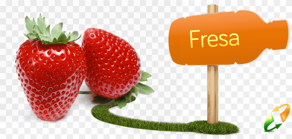 Fresa Fresh, Berry, Food, Fruit, Plant Free Png Download