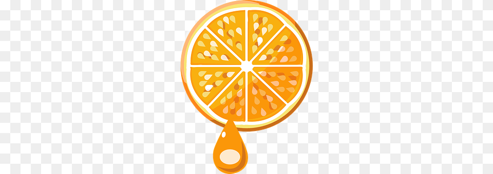 Fresh Citrus Fruit, Food, Fruit, Orange Free Transparent Png