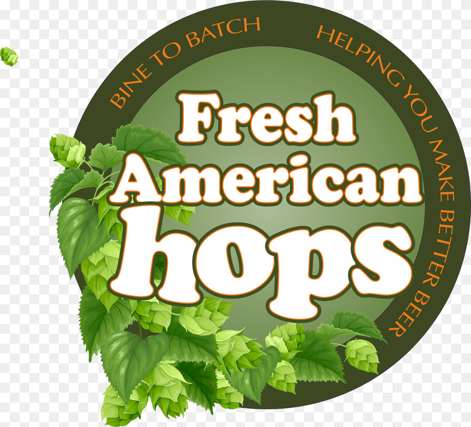 Fresh American Hops Common Hop, Green, Herbal, Herbs, Leaf Free Transparent Png