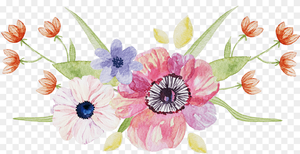 Fresh And Elegant Floral Watercolor Number Elegant Floral Flower Elegant Watercolor Free Png