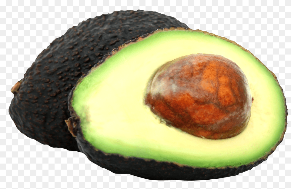 Fresh Aocado, Avocado, Food, Fruit, Plant Png