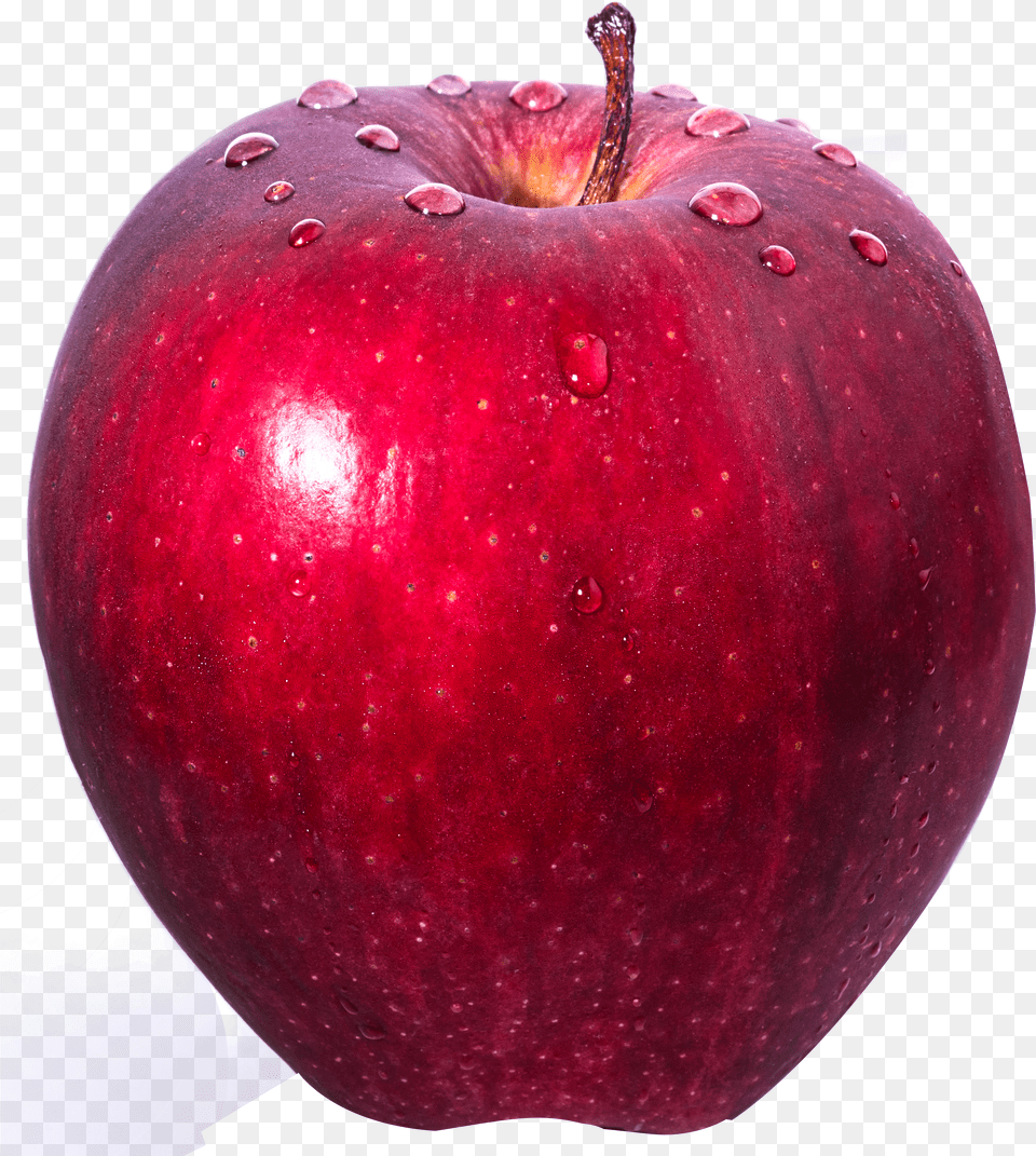 Fresh Apple Image Apple Image In, Animal, Bird, Pigeon, Dove Free Transparent Png