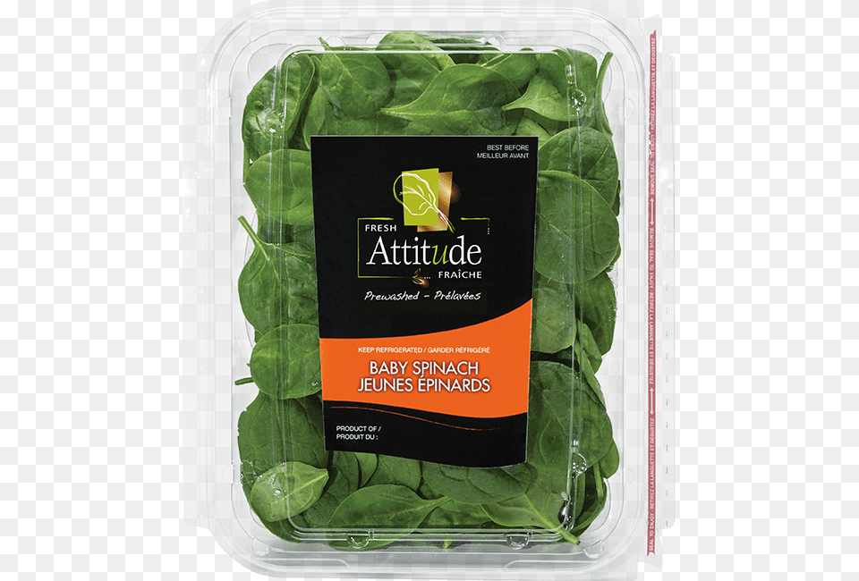 Fresh Attitude Baby Spinach 5oz Product, Food, Leafy Green Vegetable, Plant, Produce Png