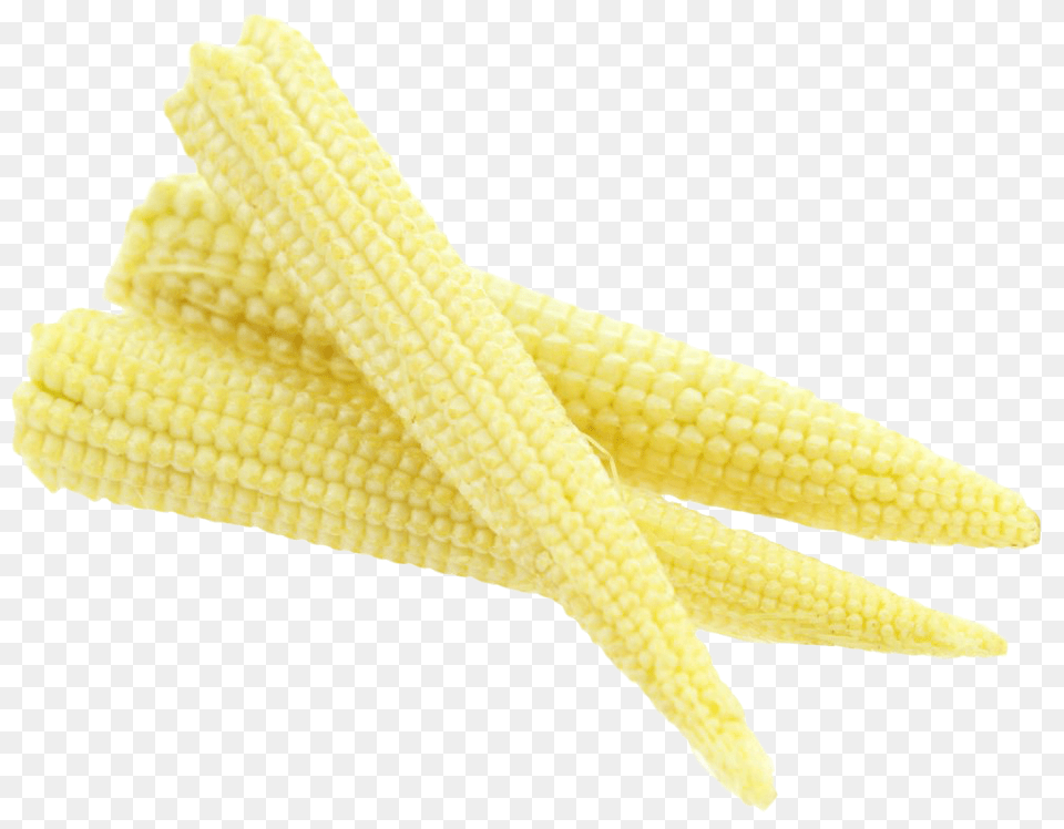 Fresh Baby Corn Image, Food, Grain, Plant, Produce Png