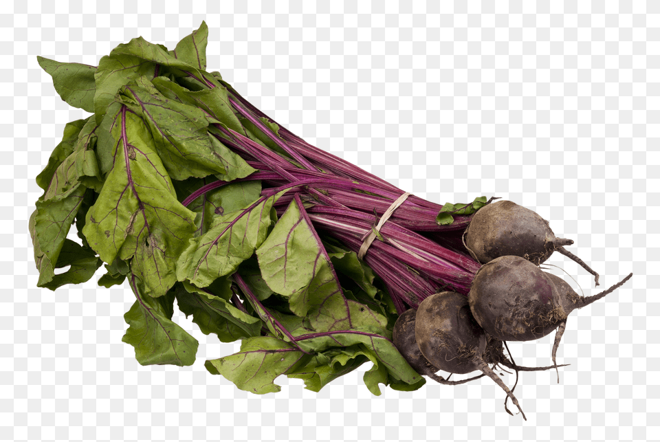 Fresh Beetroot Image, Food, Produce, Plant, Turnip Free Png