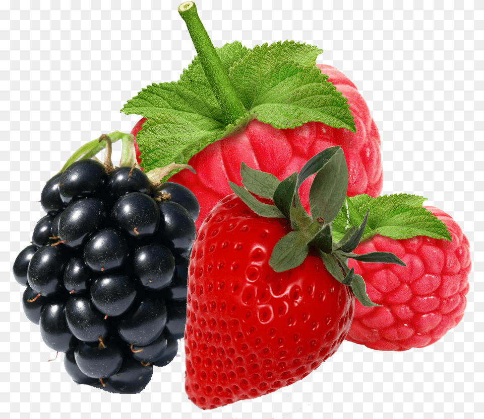 Fresh Berries Blackberry Berry, Food, Fruit, Plant, Produce Png Image