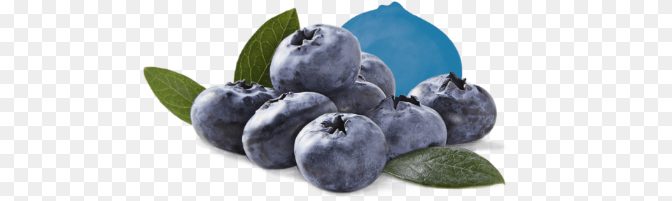 Fresh Berries Driscollu0027s Bilberry, Berry, Blueberry, Food, Fruit Png