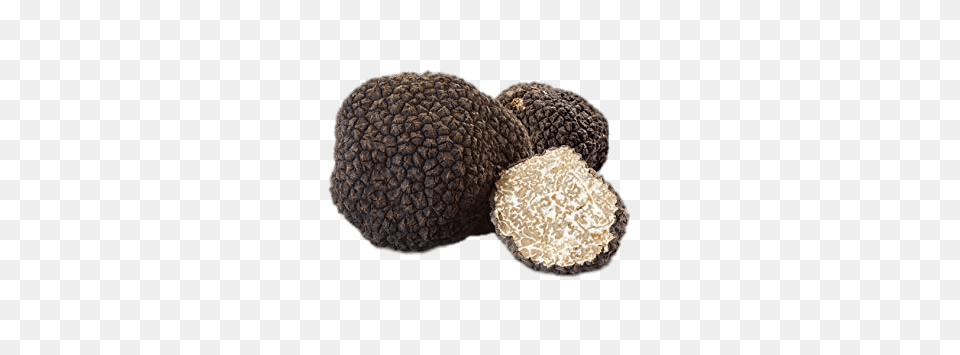 Fresh Black Italian Summer Truffles, Food, Produce, Fruit, Plant Free Transparent Png