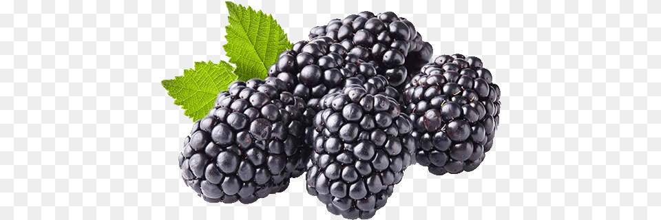 Fresh Blackberries Black Berries, Berry, Food, Fruit, Plant Png