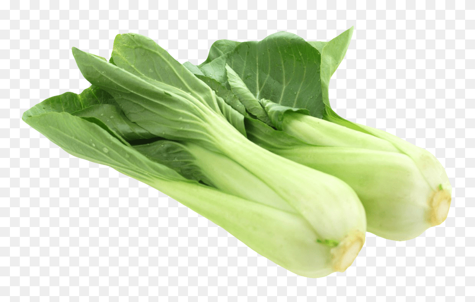 Fresh Bok Choy Food, Leafy Green Vegetable, Plant, Produce Png Image
