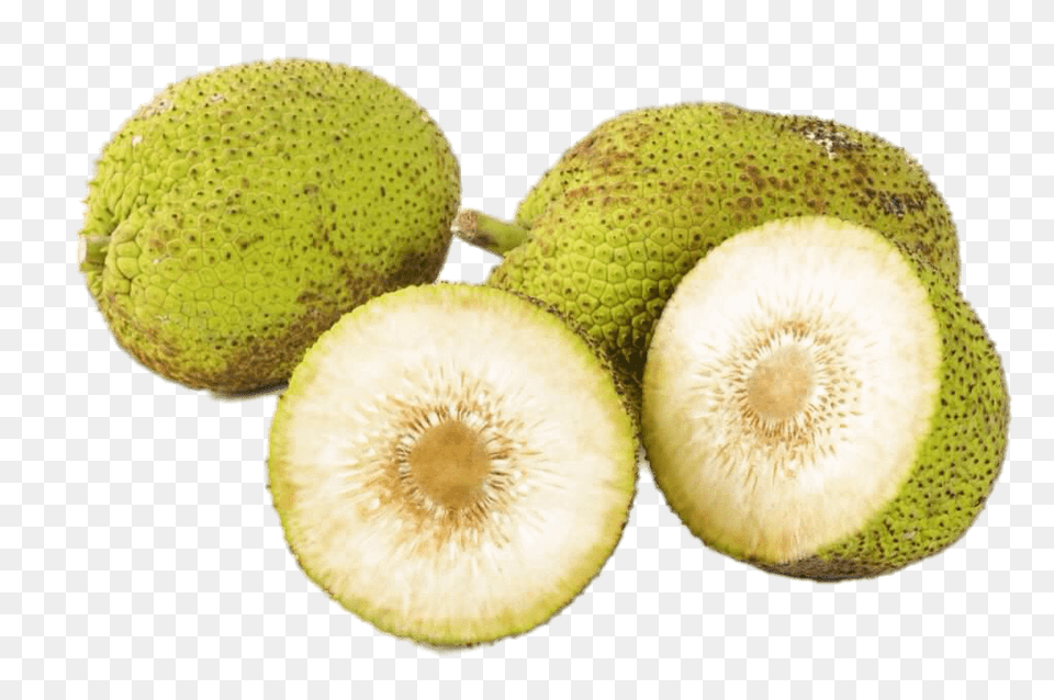 Fresh Breadfruit, Food, Fruit, Plant, Produce Png