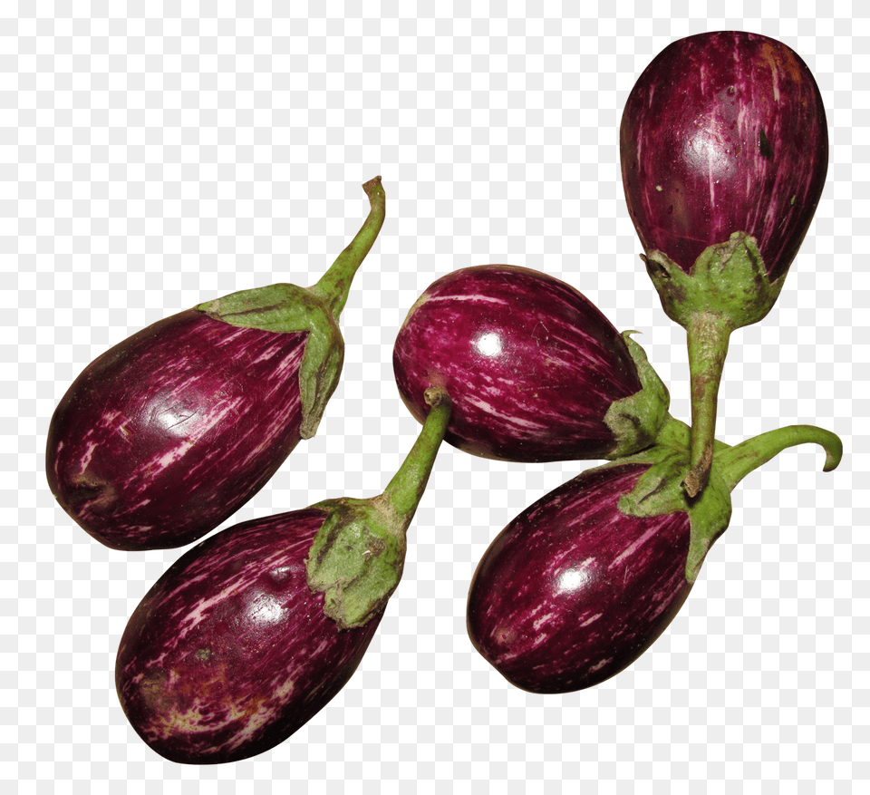 Fresh Brinjal Image, Food, Produce, Eggplant, Plant Free Png Download