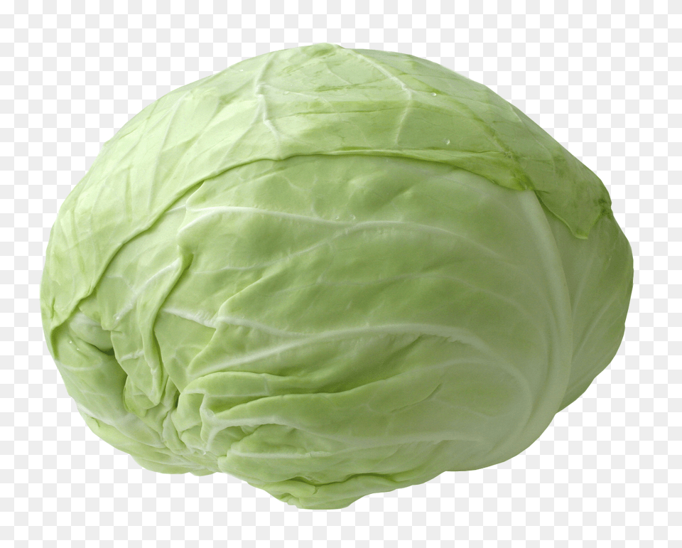 Fresh Cabbage, Food, Leafy Green Vegetable, Plant, Produce Free Png